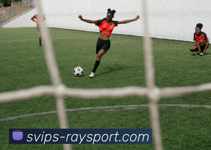 雷竞技平台平台生态图